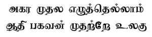 Nagananthini Tamil Font preview