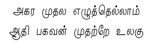 Nalini Tamil Font preview