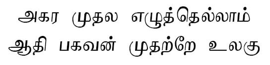 Renuka Tamil Font Preview